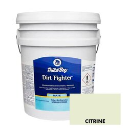 Pintura Acrilica Dirt Fighter Pastel Citrine SW6714.F 19 Lt