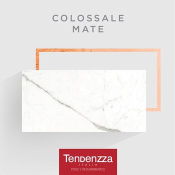 Piso Colossale Tendenzza 60 x 120 cm Mate