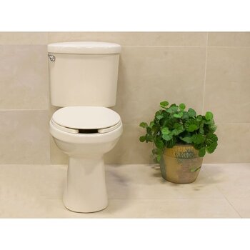 Sanitario Paquete Alargado Ixtapa Hueso