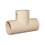 Tee CPVC 1¼ pulg