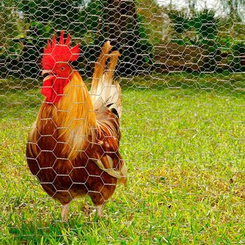 Malla Hexagonal DeAcero 1.00 x 45 ML Cal 22