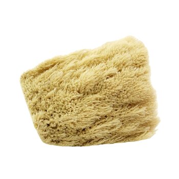 Esponja Marina marca Byp modelo EMA